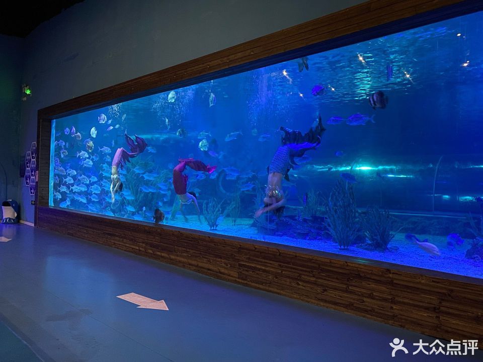 怀化九丰农博园海洋科技馆