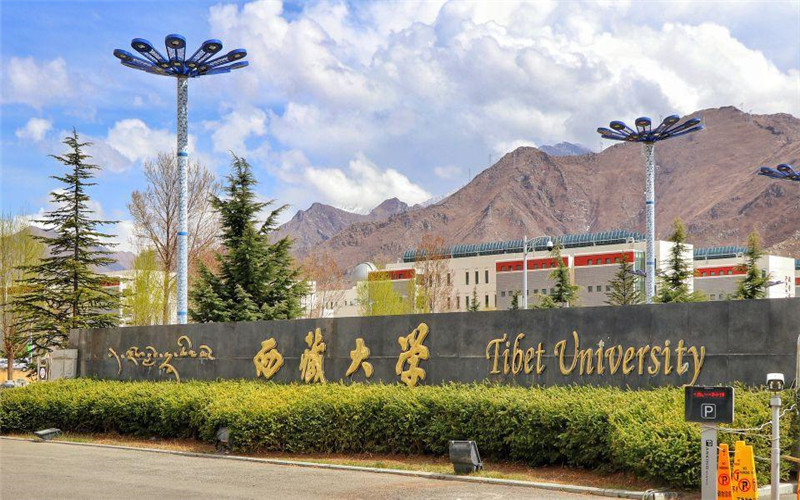 西藏大学(老校区)图片