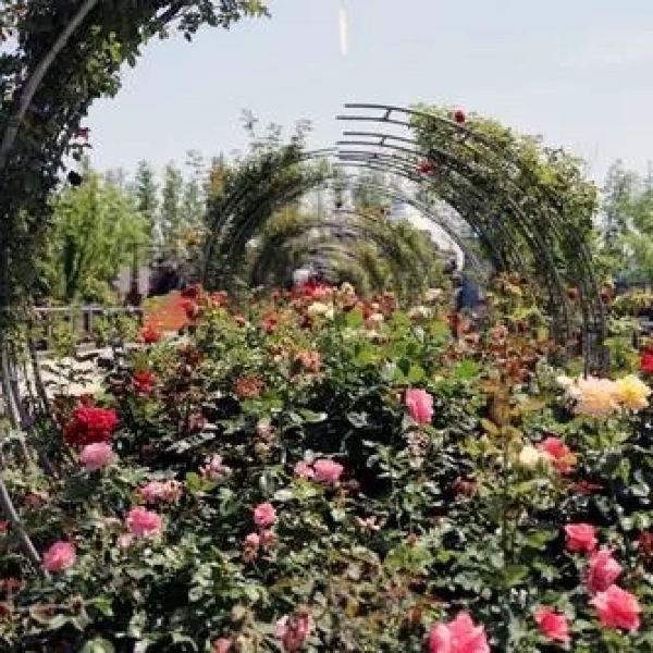 【南通植物园】南通植物园门票,南通植物园游玩攻略