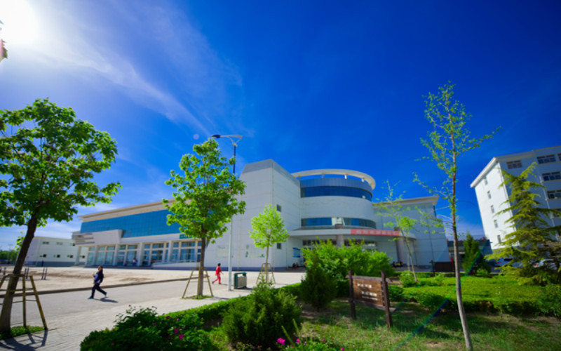 庆阳有什么大学