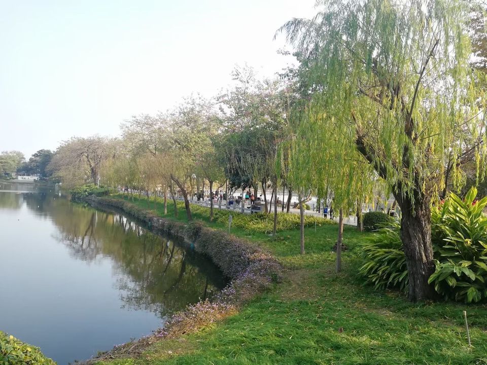pncsp:广州东山湖公园俗称东湖公园,是广州市四大人工湖公园之一,位于