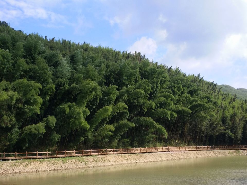 重庆市梁平区百里竹海景区