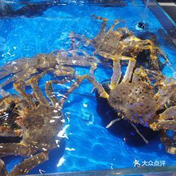 捞悦国际海鲜长城大街店