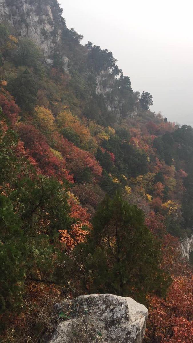 凤凰山景区