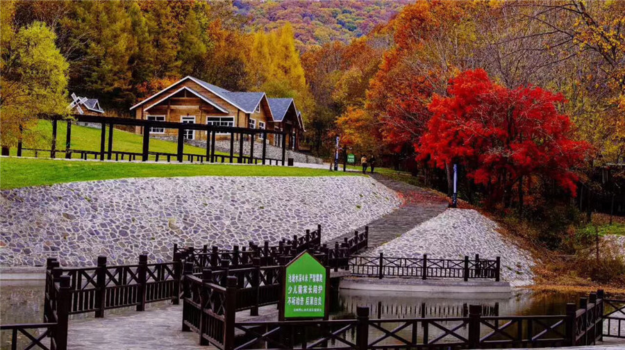 通化市 休闲娱乐 景点公园 柳河县云岭野山参风景旅游区