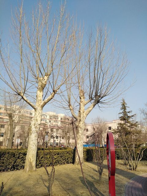 唐口公园