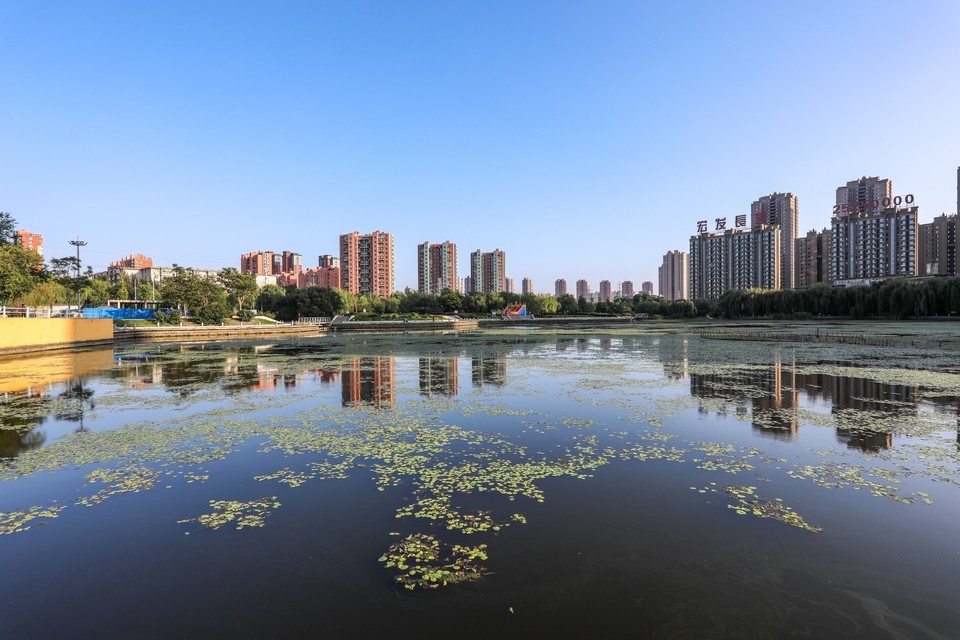 仙女湖公园位于沈阳市铁西区卫工南街与勋业五路交汇处附近西南推荐菜