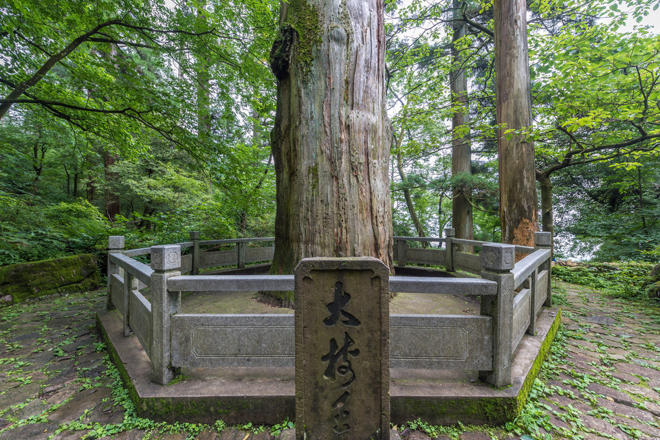 浙江天目山风景区