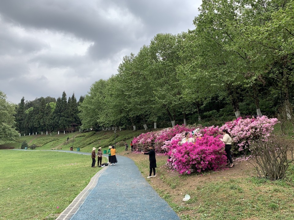 贵阳药用植物园