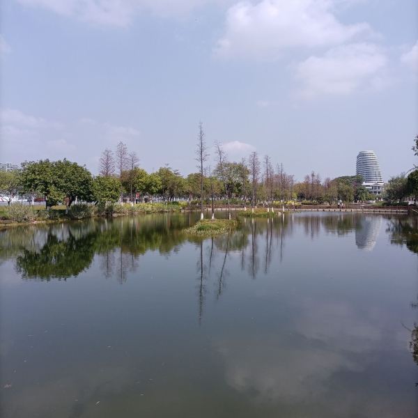 2021-05-20【广州国际生物岛】广州国际生物岛地址,岛