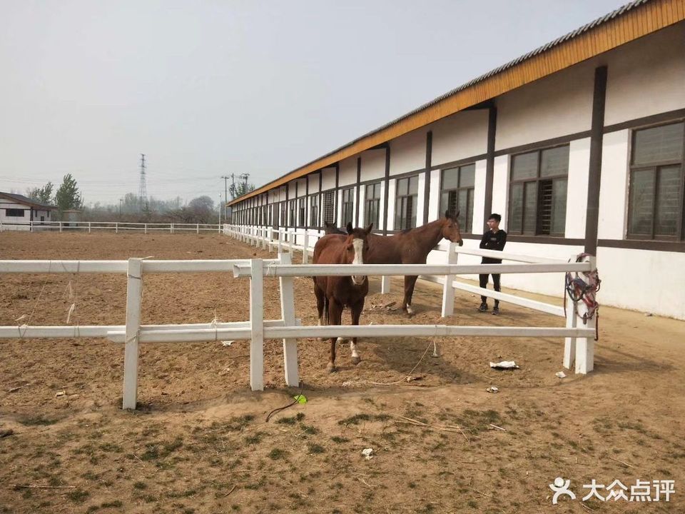 砀山国际赛马场