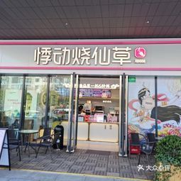 悸动烧仙草新环广场店