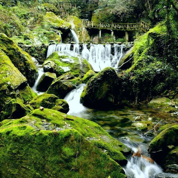 武当山南神道景区