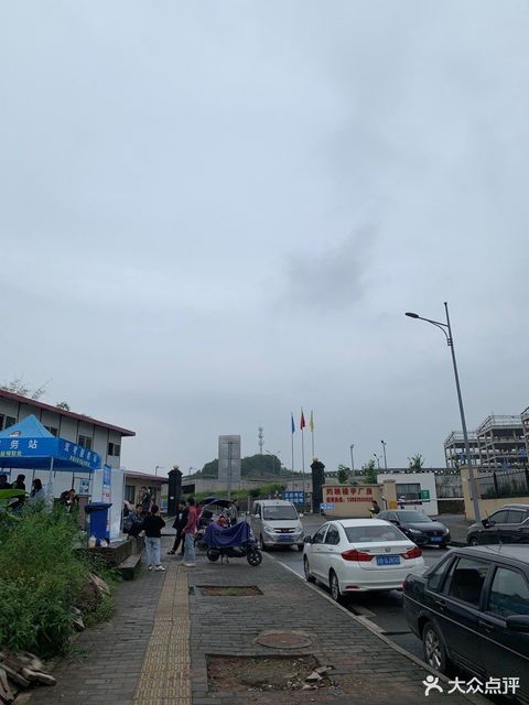 科目二金凤考场