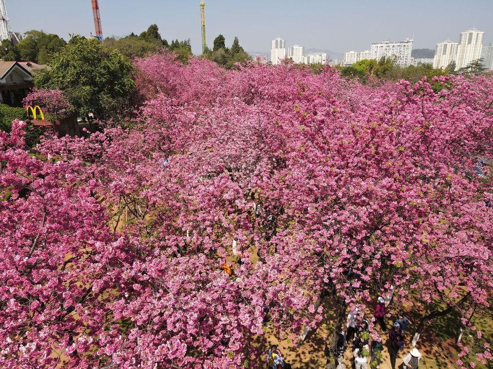 圆通山