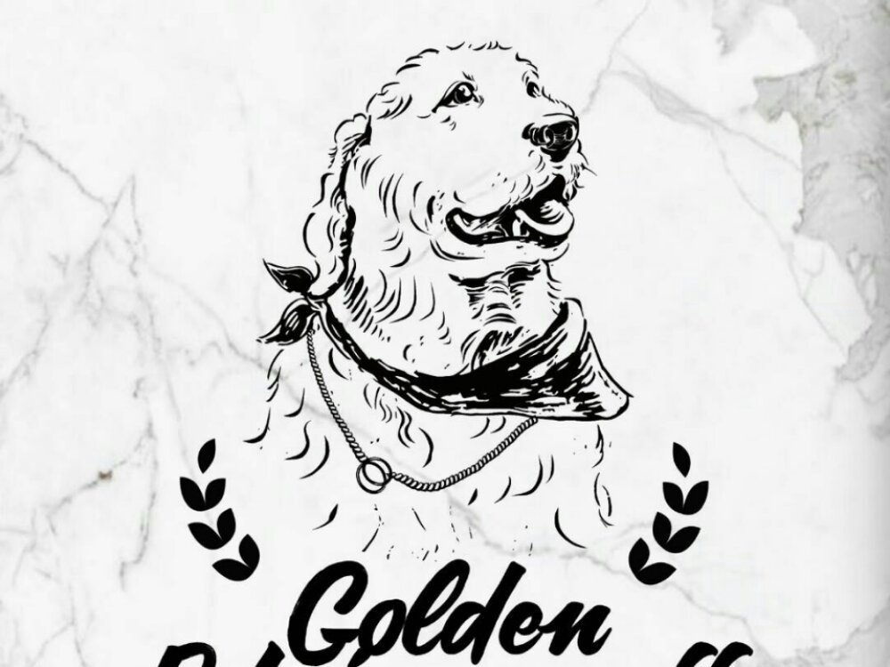          金毛犬咖啡(胜利路店)