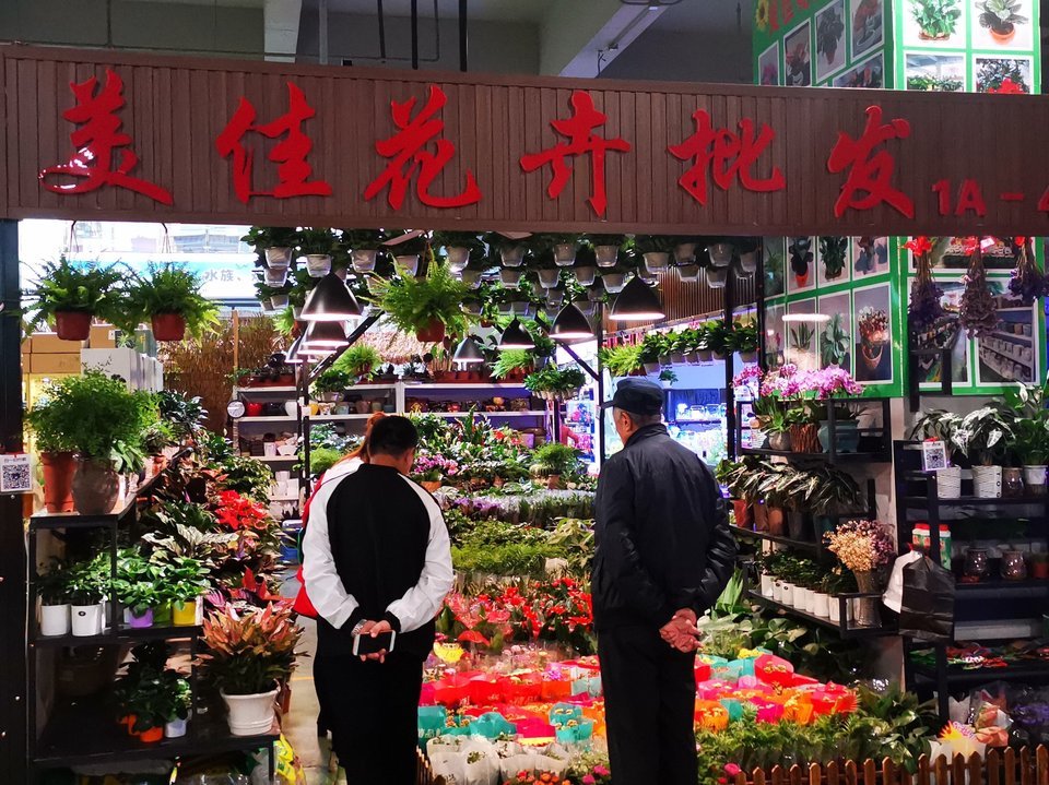 大连香炉礁花卉市场