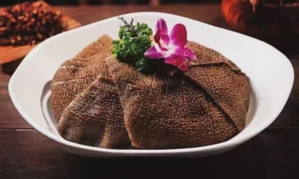川蜀菌汤毛肚火锅