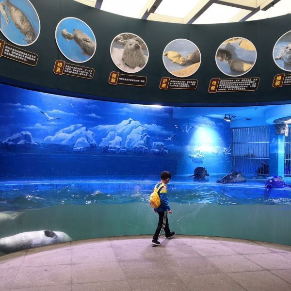 > 青岛海底世界 e27****52:买的通票,逛了四个多小时,看了五六个馆,太