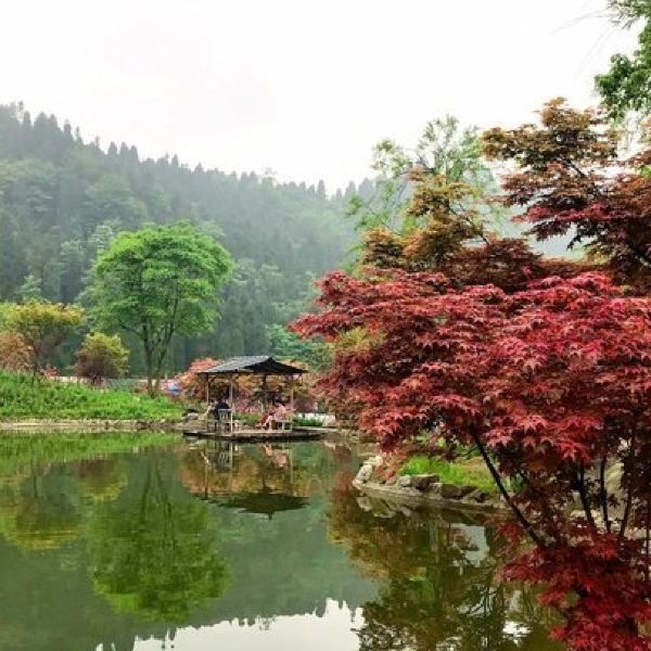          吴立珍:红枫岭位于什邡