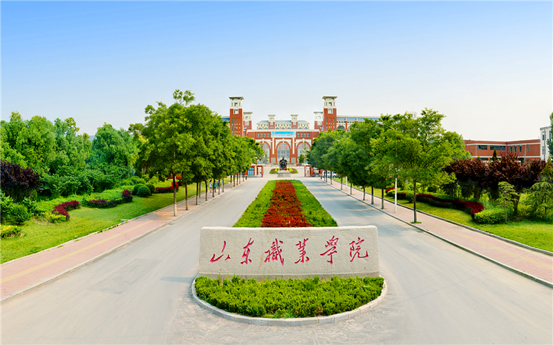                    山东职业学院