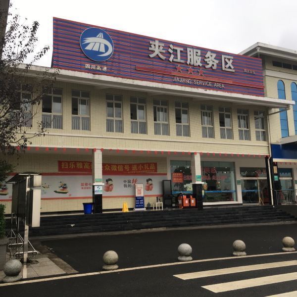 夹江天福服务区观光茶园