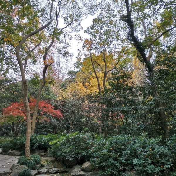 上海市 休闲娱乐 景点公园 景点 > 金塔公园