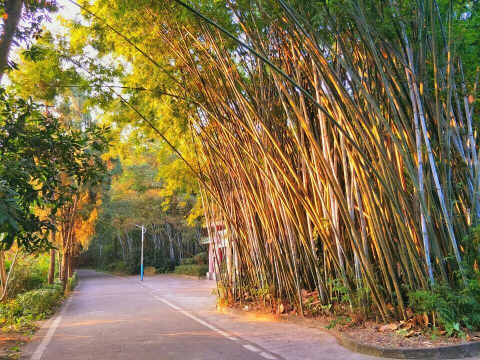 北峰山国家森林公园