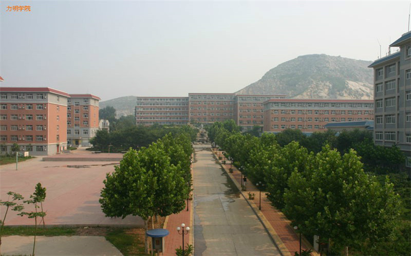 山东财经大学-东方学院