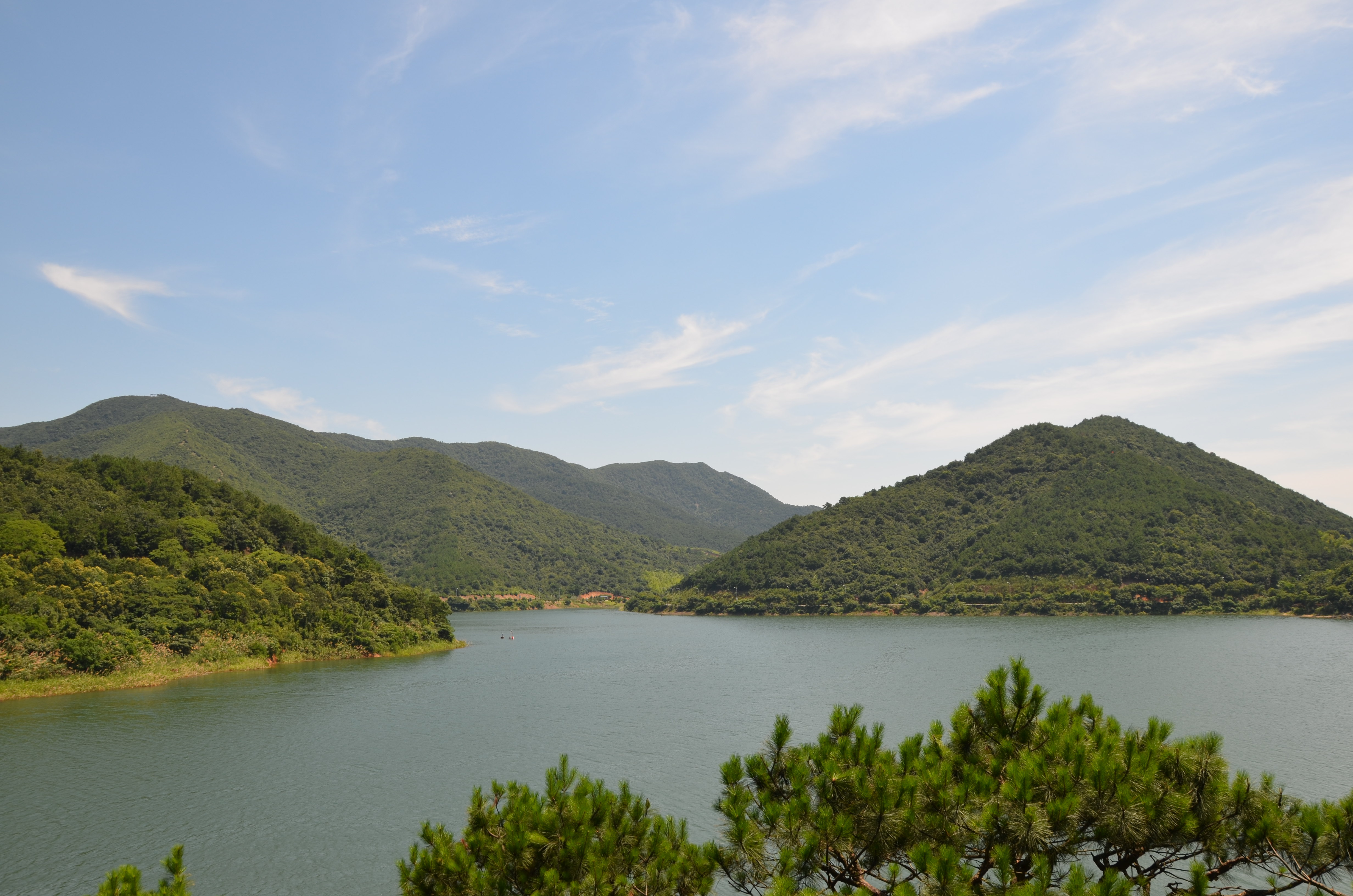 暂无 583条 类型:湖泊游船 电话 暂无 地址 宁波市镇海区九龙湖