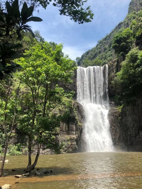 文成百丈漈风景区苍南炎亭风景区龙麒源景区苍南周边景区泰顺乌岩岭