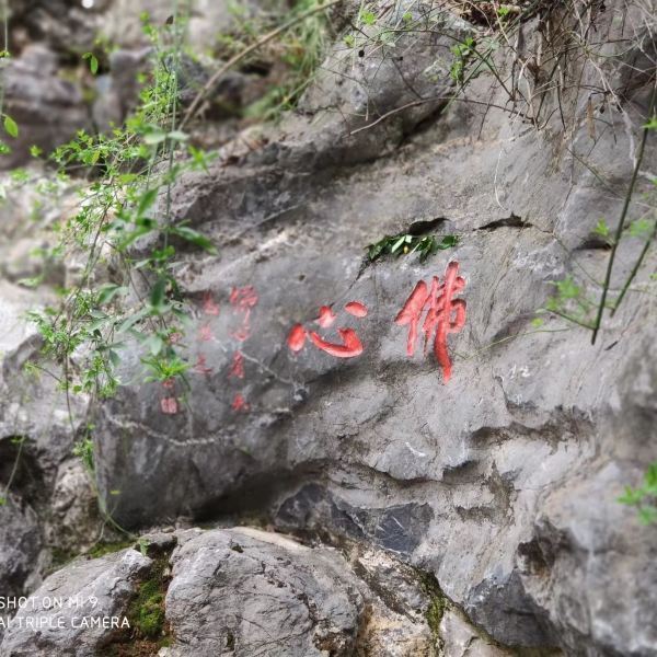 虎跑定慧寺