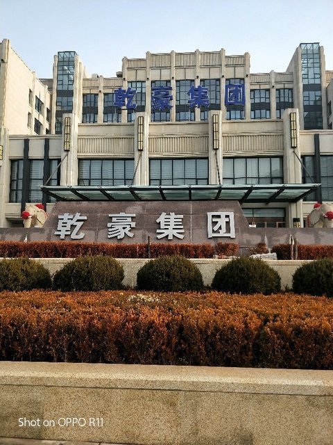 中国扬子集团