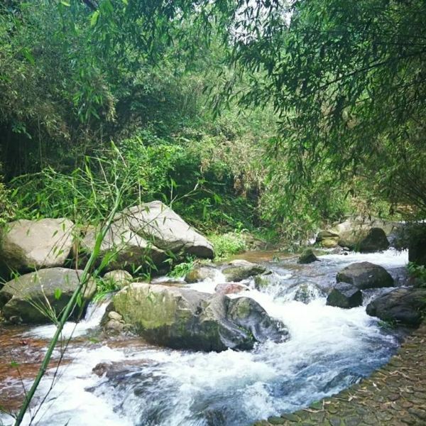 六安市 休闲娱乐 景点公园 景点 > 龙井沟风景区