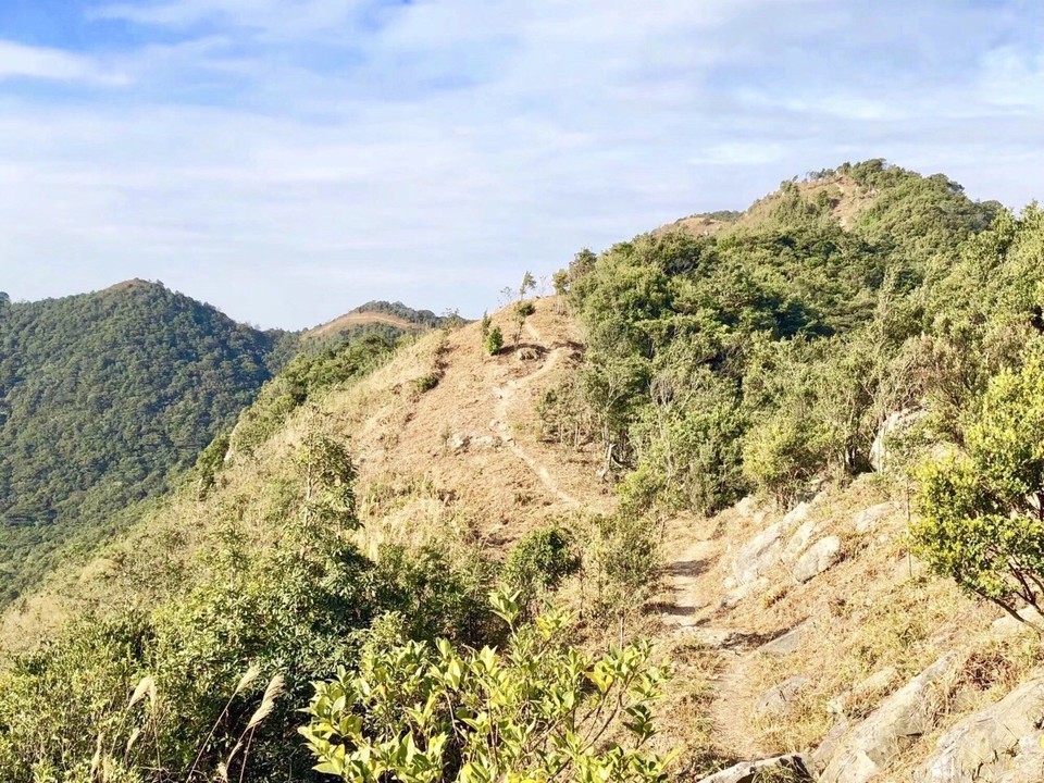 田头山位于深圳市坪山区石井街道标签:天然氧吧景点公园风景名胜