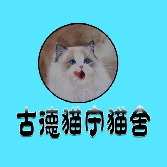                 古德猫宁