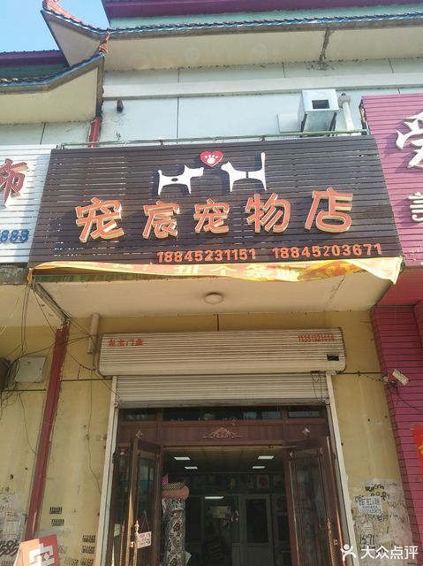 宠宸宠物店