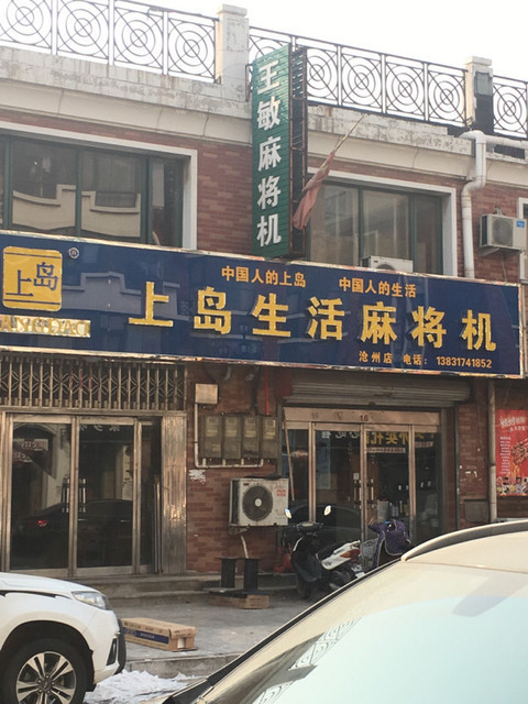 上岛麻将机(沧州店)图片