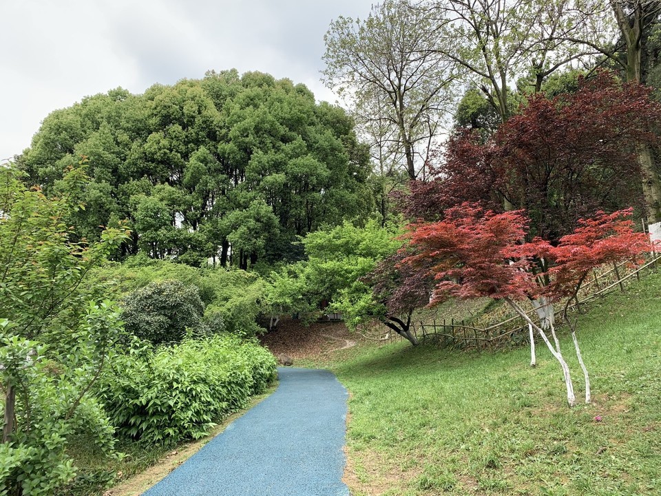 贵阳药用植物园