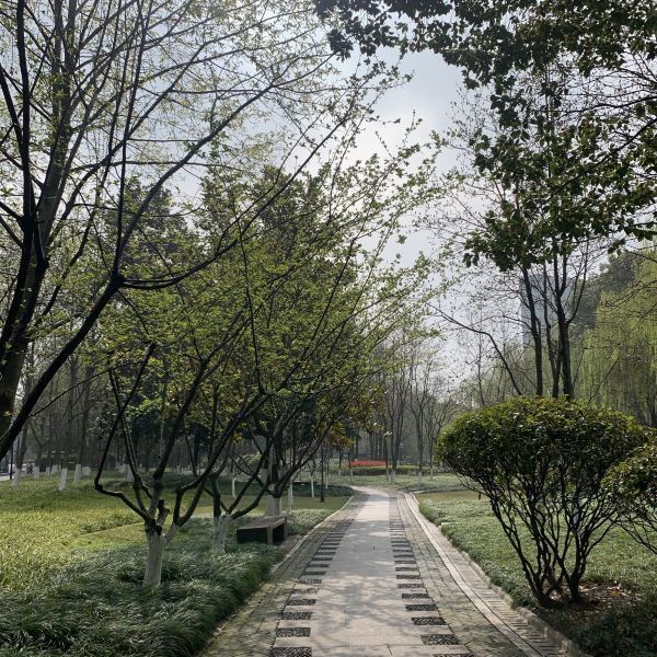 钱江世纪公园