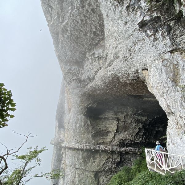 金佛山景区