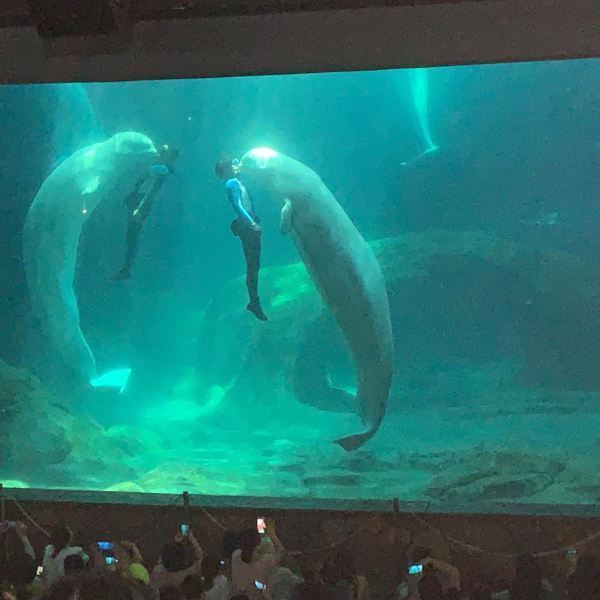 杭州极地海洋公园