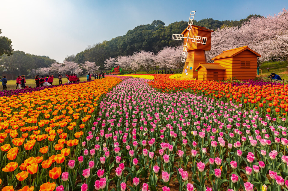 苏州上方山国家森林公园