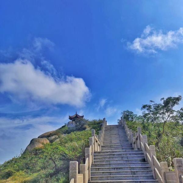 【洋山大指头景区】洋山大指头景区门票,洋山大指头