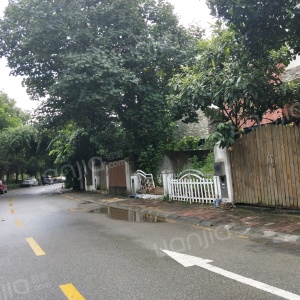 南沙区丰泽东路属于哪个街道