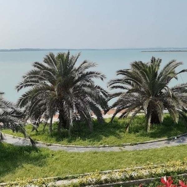 【韵湖湿地公园】韵湖湿地公园门票,韵湖湿地公园游玩攻略_360地图