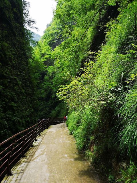 金丝峡景区