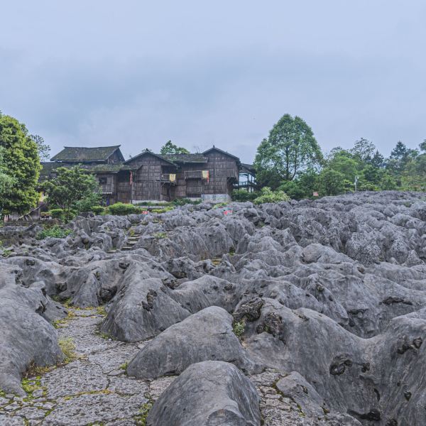 休闲娱乐 景点公园 景点 > 四川兴文石海世界地质公园m49****023:景区