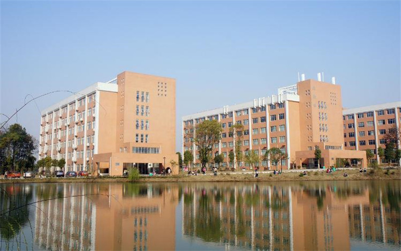 中南林业科技大学涉外学院