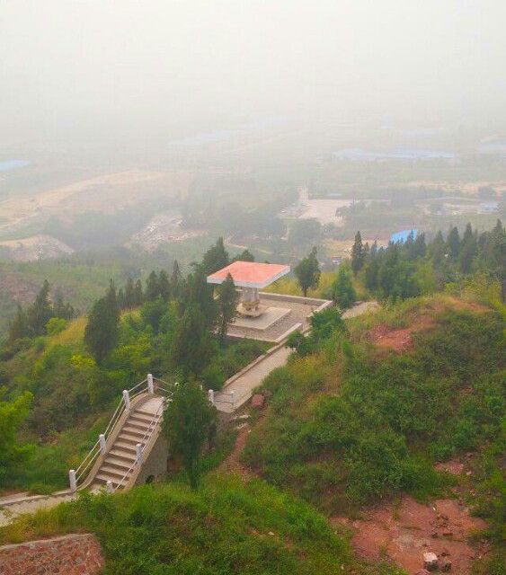 偃师市商城植物园